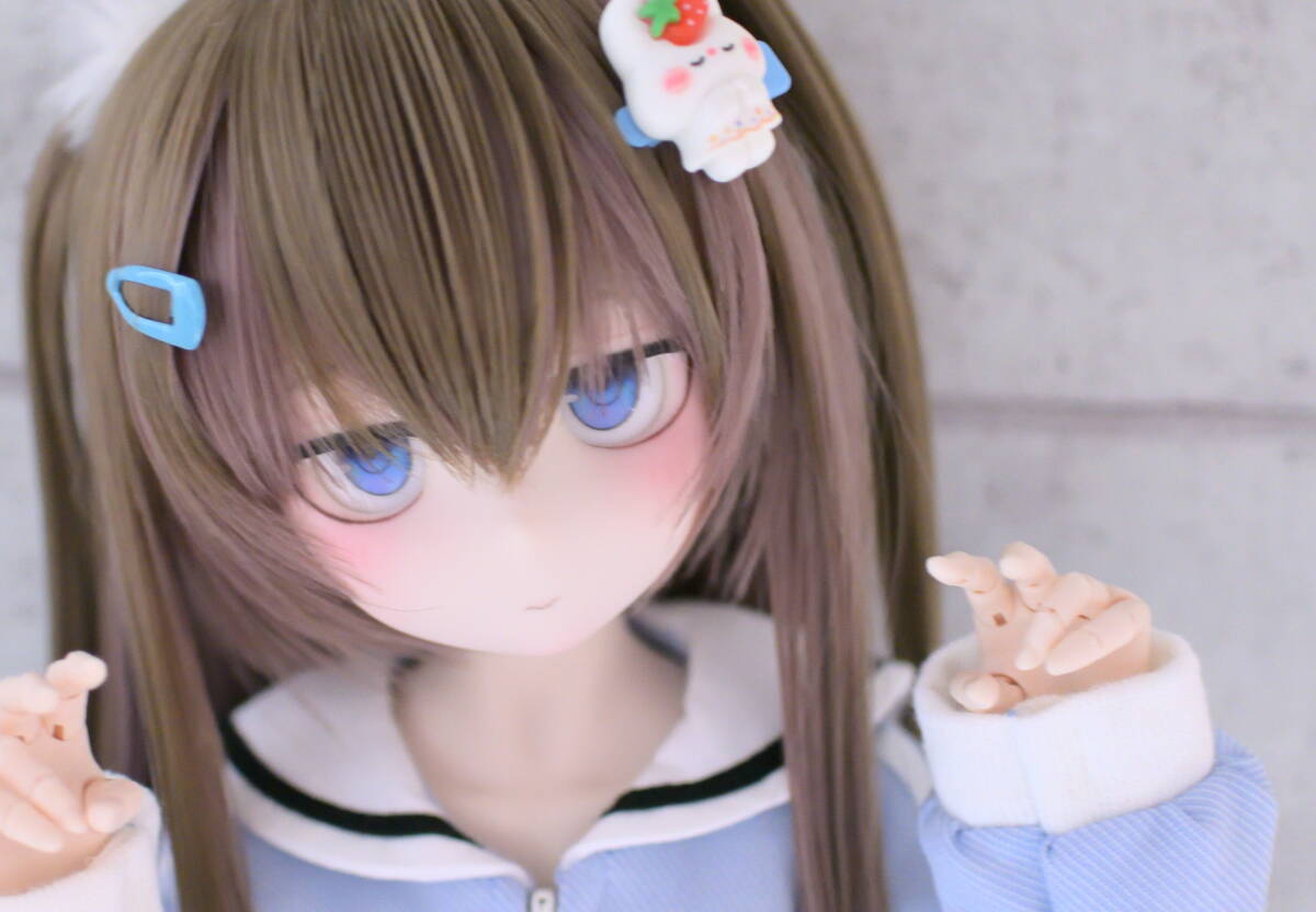 Yahoo!オークション - DDH-29 カスタムヘッド(SW肌)+デカール Yahoo!オークション - DDH-29 カスタムヘッド(SW肌)+デカール