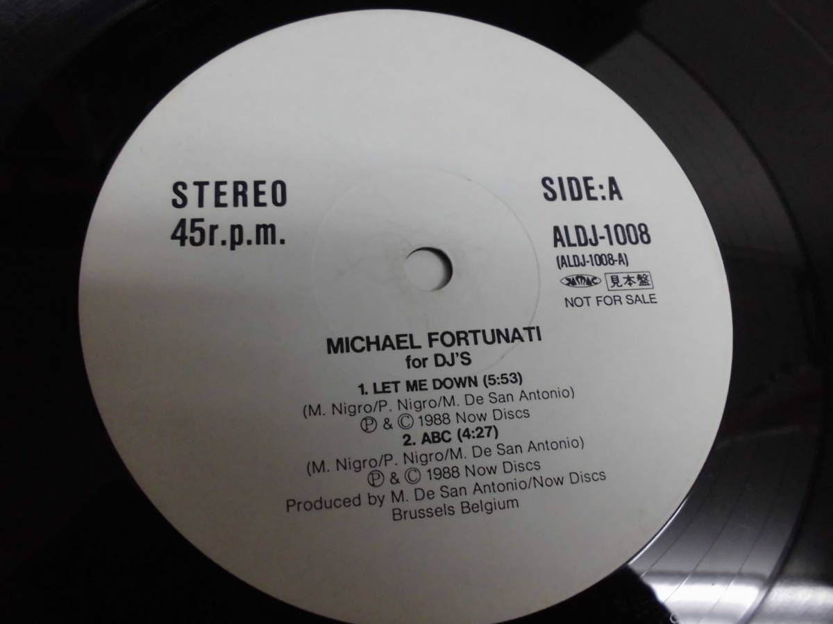 MICHAEL FORTUNATI/LET ME DOWN/2854 for D.J.'Sの画像4