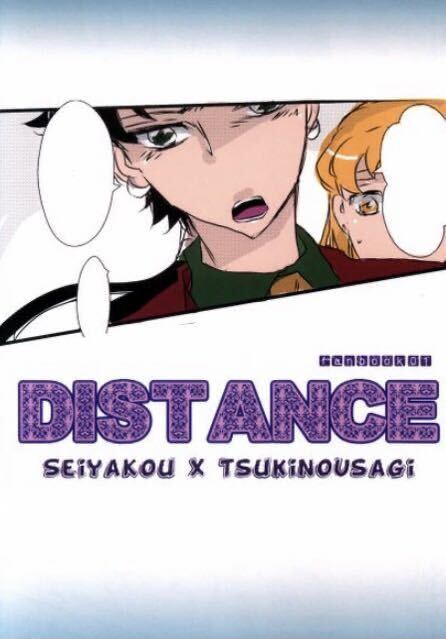 セーラームーン 同人誌 星野光×月野うさぎ 星うさ - セーラームーン セーラームーン 同人誌 星野光×月野うさぎ 星うさ - セーラームーン