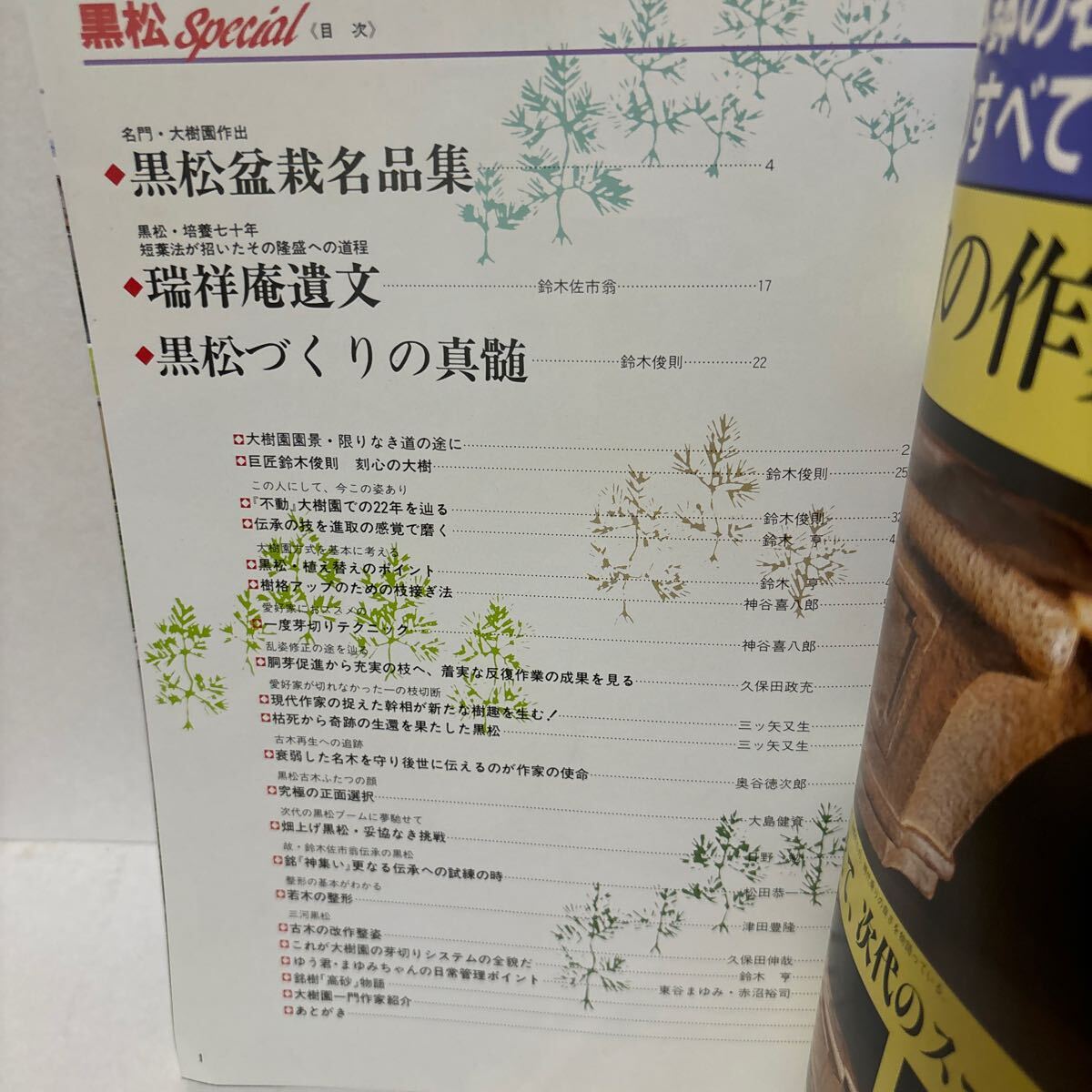黒松スペシャル 月刊「近代盆栽」増刊 鈴木俊則 平成6年1月発行 黒松スペシャル 月刊「近代盆栽」増刊 鈴木俊則 平成6年1月発行