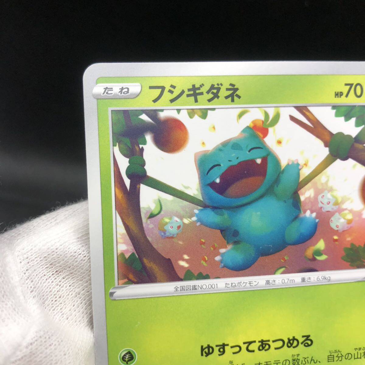 ポケモンカード フシギダネ プロモカード 2022|Yahoo!フリマ ポケモンカード フシギダネ プロモカード 2022|Yahoo!フリマ