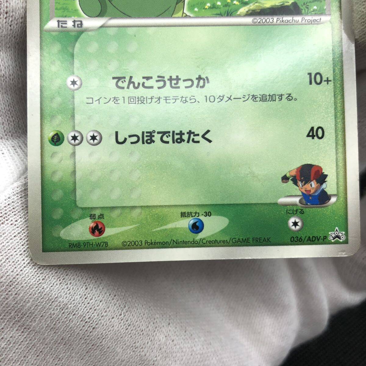 ポケモンカード サトシのキモリ キモリ プロモカード セット売り ポケモンカード サトシのキモリ キモリ プロモカード セット売り