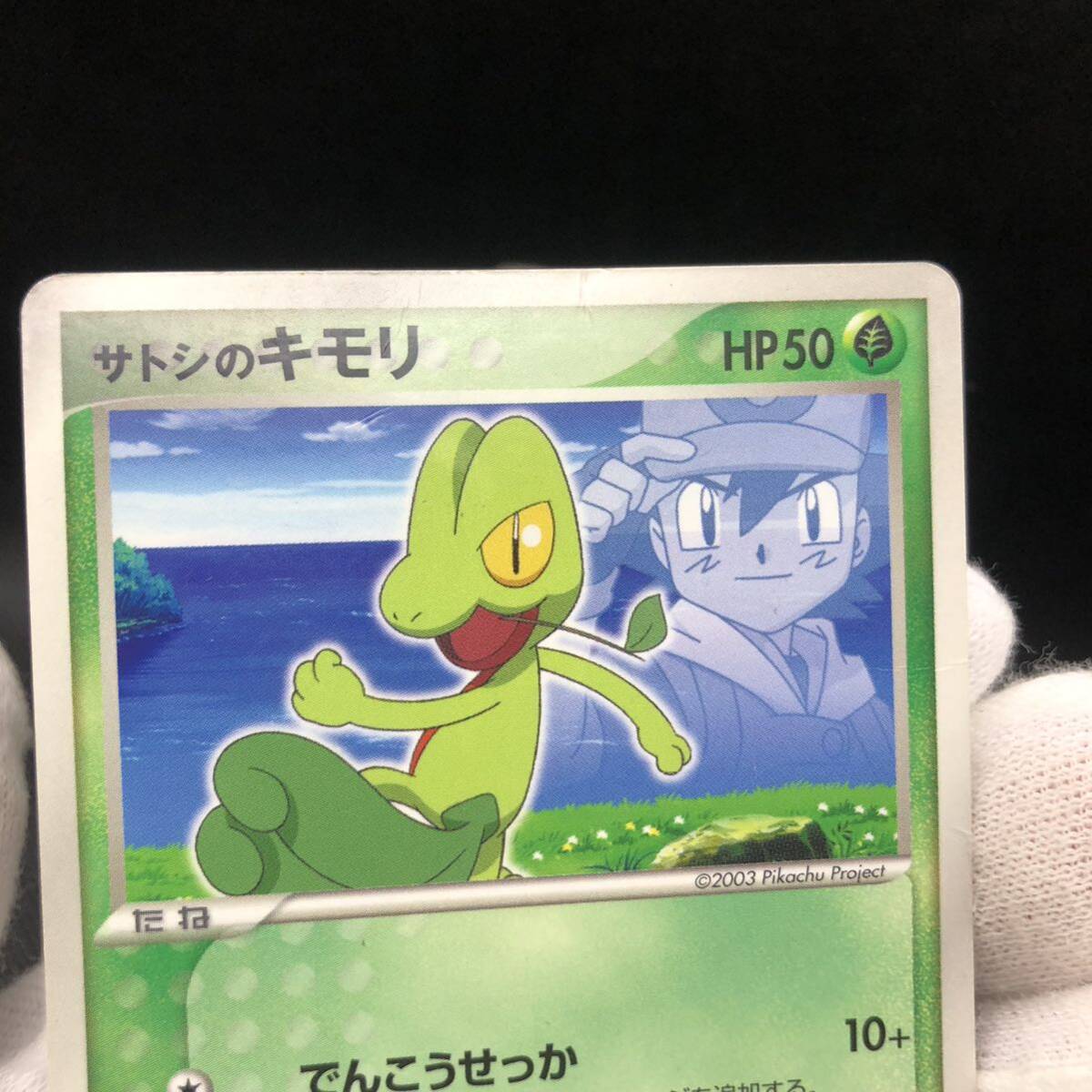 ポケモンカード サトシのキモリ キモリ プロモカード セット売り ポケモンカード サトシのキモリ キモリ プロモカード セット売り