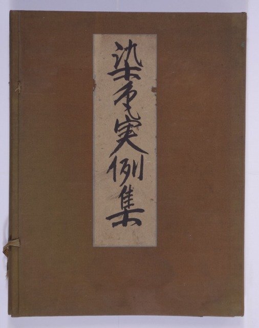 【感謝価格】 染色実例集 染色工程標本 赤澤鉞太郎 和書