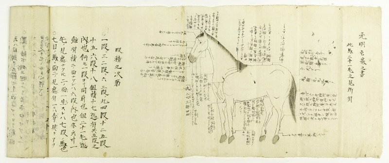 想像を超えての 无明一巻之書(馬見立書) 出羽国山上入道著 和書