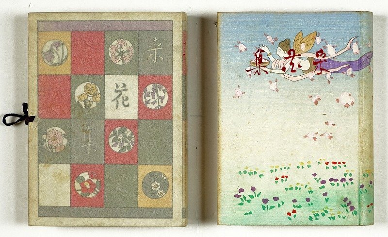 6120円 言文対照分類詳註 秋水雪鴻軒尺牘合壁(秋水軒尺牘、雪鴻 6120円 言文対照分類詳註 秋水雪鴻軒尺牘合壁(秋水軒尺牘、雪鴻