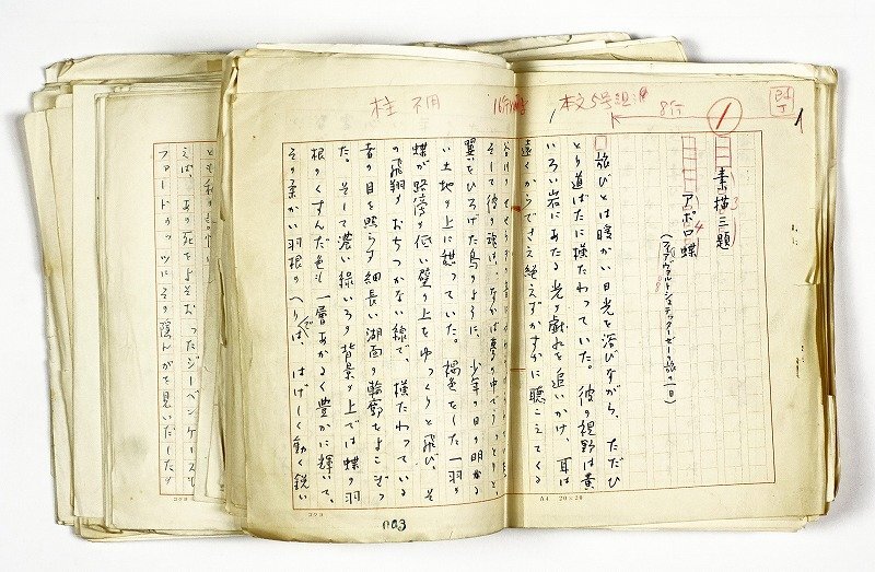 激安超安値 独創的 池永三省大隅介より北国屋喜八宛書状 | 山星書店 初版本 和書