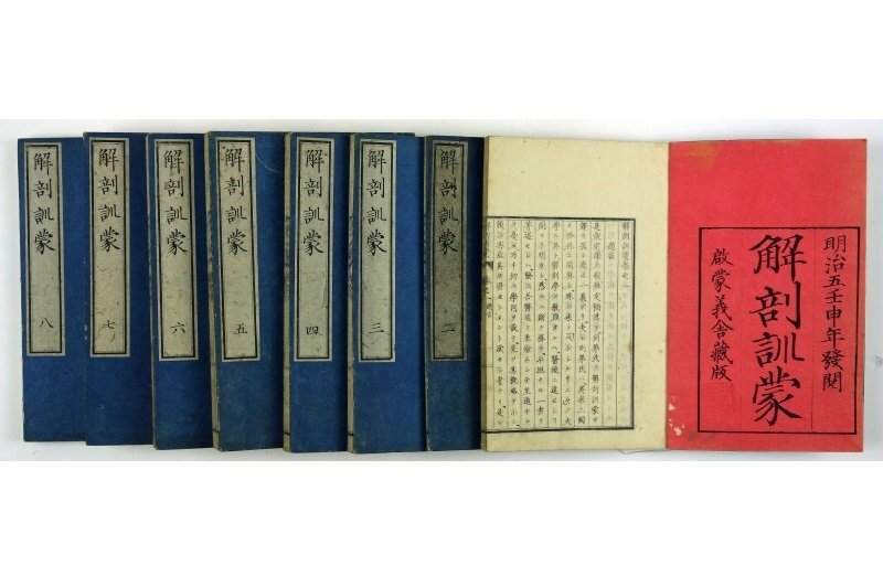 7446円 解剖訓蒙 全8冊 約琴・列第(レイデー)原著松村矩明他 7446円 解剖訓蒙 全8冊 約琴・列第(レイデー)原著松村矩明他