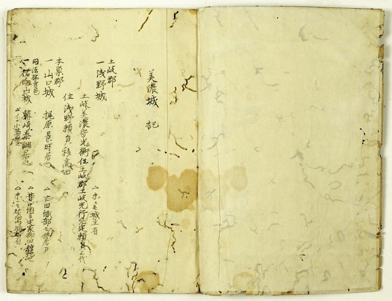あなたにおすすめの商品 美濃城記 和書