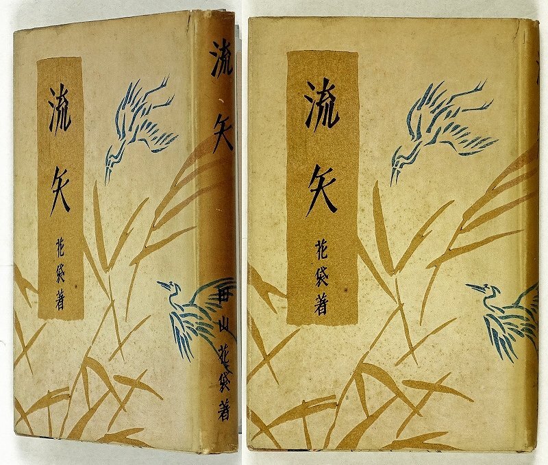 大人女性の 流矢 田山花袋 和書