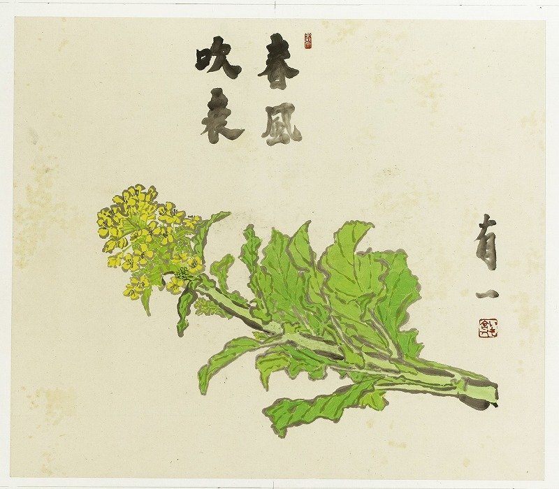 新しい到着 森有一画賛 菜の花 春風吹表 森有一署名・落款入り 和書