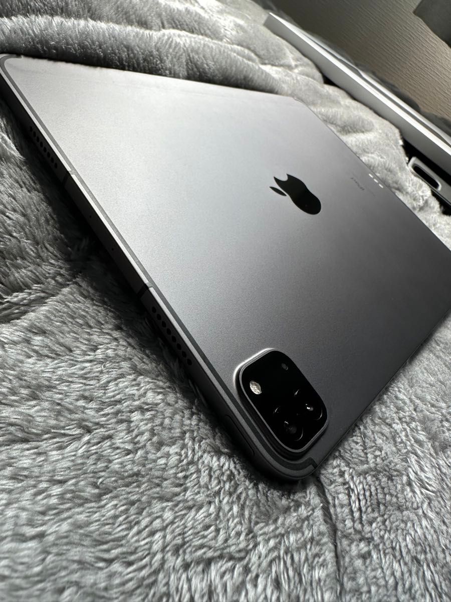 超豪華おまけ付き】iPad Pro 11インチ(第3世代) 2TB Wi-Fi + 超豪華おまけ付き】iPad Pro 11インチ(第3世代) 2TB Wi-Fi +
