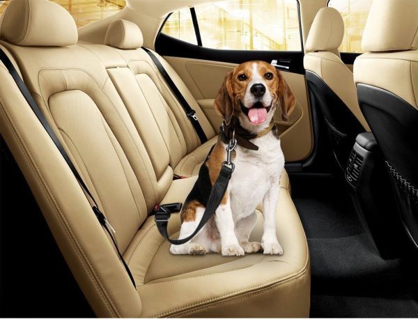 ペット用シートベルト 愛犬を守る 安全ベルト 簡単装着 差込口に繋げるだけ 長さ調節可能 車専用 ペット用 （パープル）_画像3