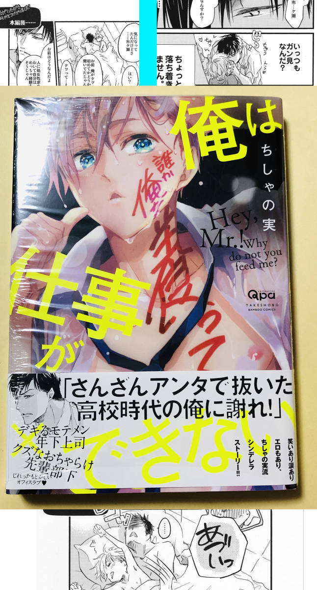 ヤフオク ちしゃの実 俺は仕事ができない ペーパー ヤフオク ちしゃの実 俺は仕事ができない ペーパー