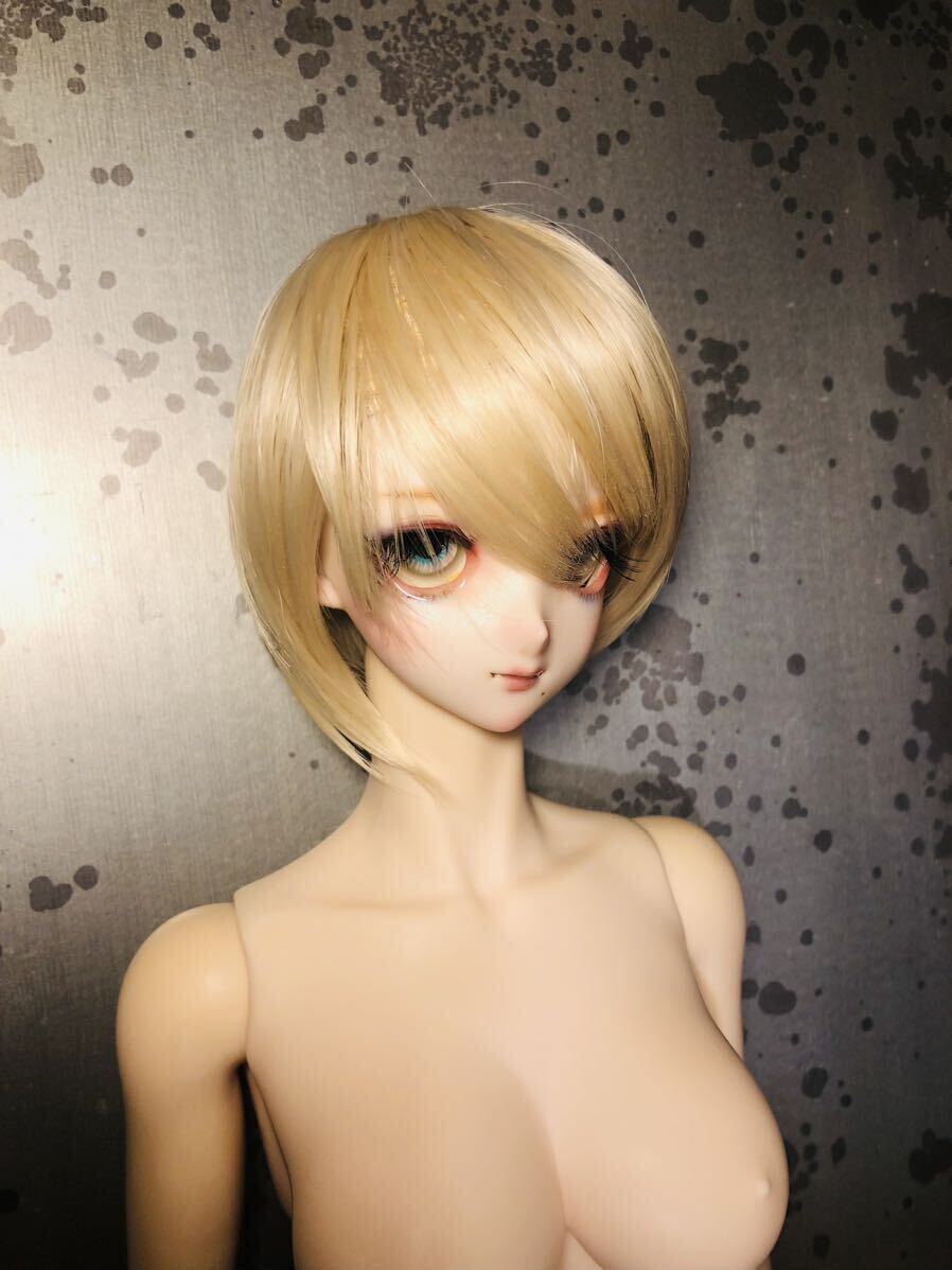Iplehouse doll ドルフィードリーム DDドール カスタムヘッド Iplehouse doll ドルフィードリーム DDドール カスタムヘッド