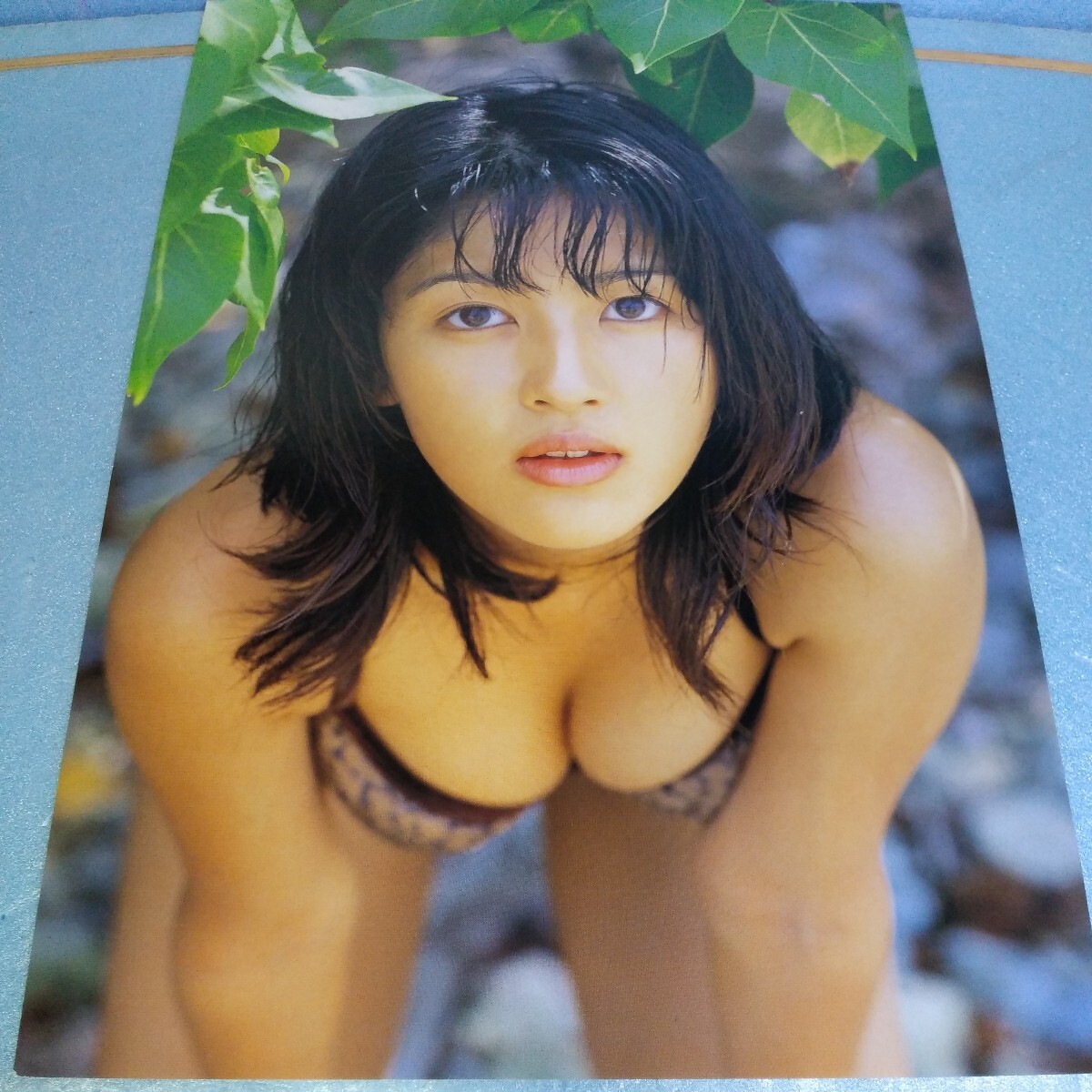 ☆吉井怜☆切り抜き/6P/雑誌/写真誌/当時物/17歳/1999年/歌手/女優/タレント/アイドル/水着/ビキニ/送料込み/Ｄ(タレント)｜売買されたオークション情報、Yahoo!オークション(旧ヤフオク!)  の商品情報をアーカイブ公開 - オークファン（aucfan.com）