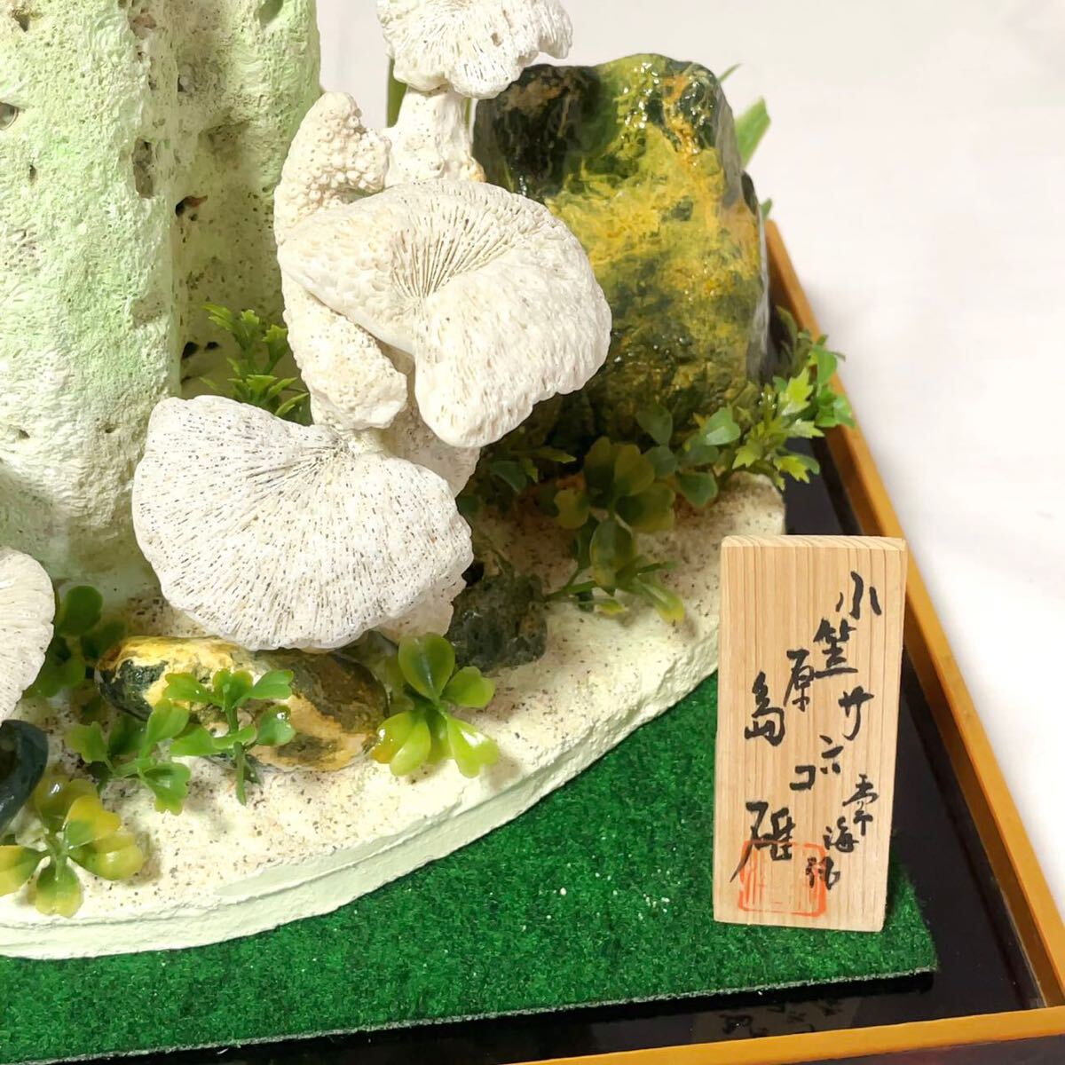 常海作 珊瑚 大型 置物 飾り物 珊瑚礁 化石 小笠原島産 海水魚 常海作 珊瑚 大型 置物 飾り物 珊瑚礁 化石 小笠原島産 海水魚