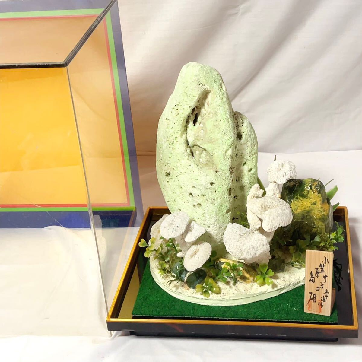 常海作 珊瑚 大型 置物 飾り物 珊瑚礁 化石 小笠原島産 海水魚 常海作 珊瑚 大型 置物 飾り物 珊瑚礁 化石 小笠原島産 海水魚