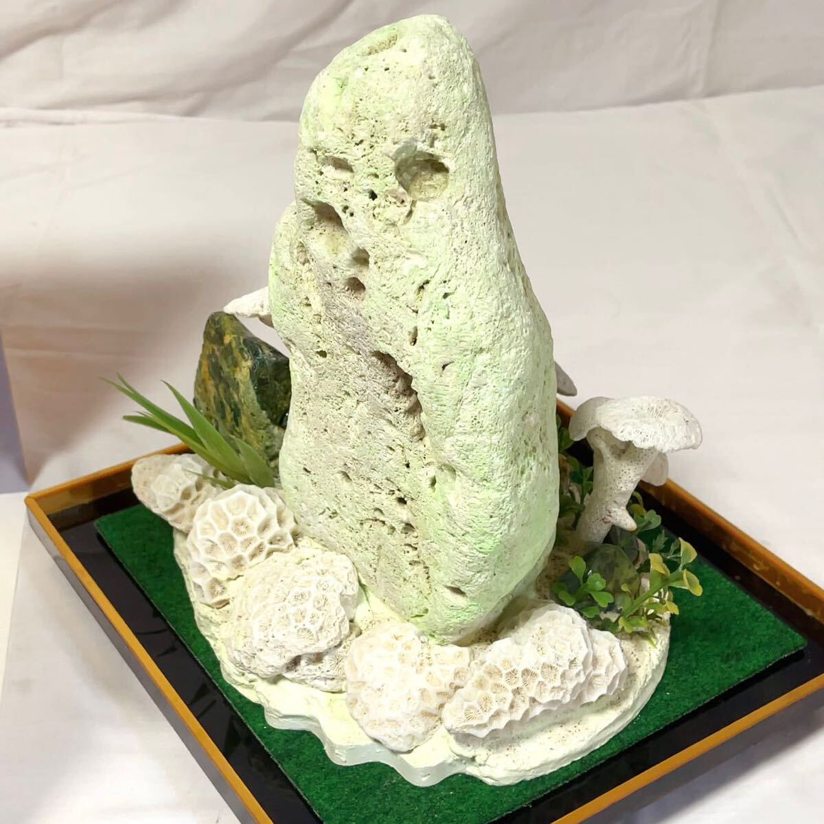 常海作 珊瑚 大型 置物 飾り物 珊瑚礁 化石 小笠原島産 海水魚 常海作 珊瑚 大型 置物 飾り物 珊瑚礁 化石 小笠原島産 海水魚