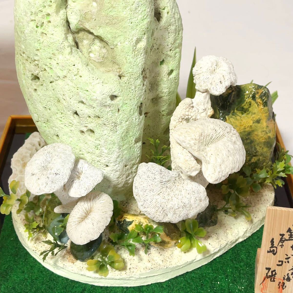 常海作 珊瑚 大型 置物 飾り物 珊瑚礁 化石 小笠原島産 海水魚 常海作 珊瑚 大型 置物 飾り物 珊瑚礁 化石 小笠原島産 海水魚