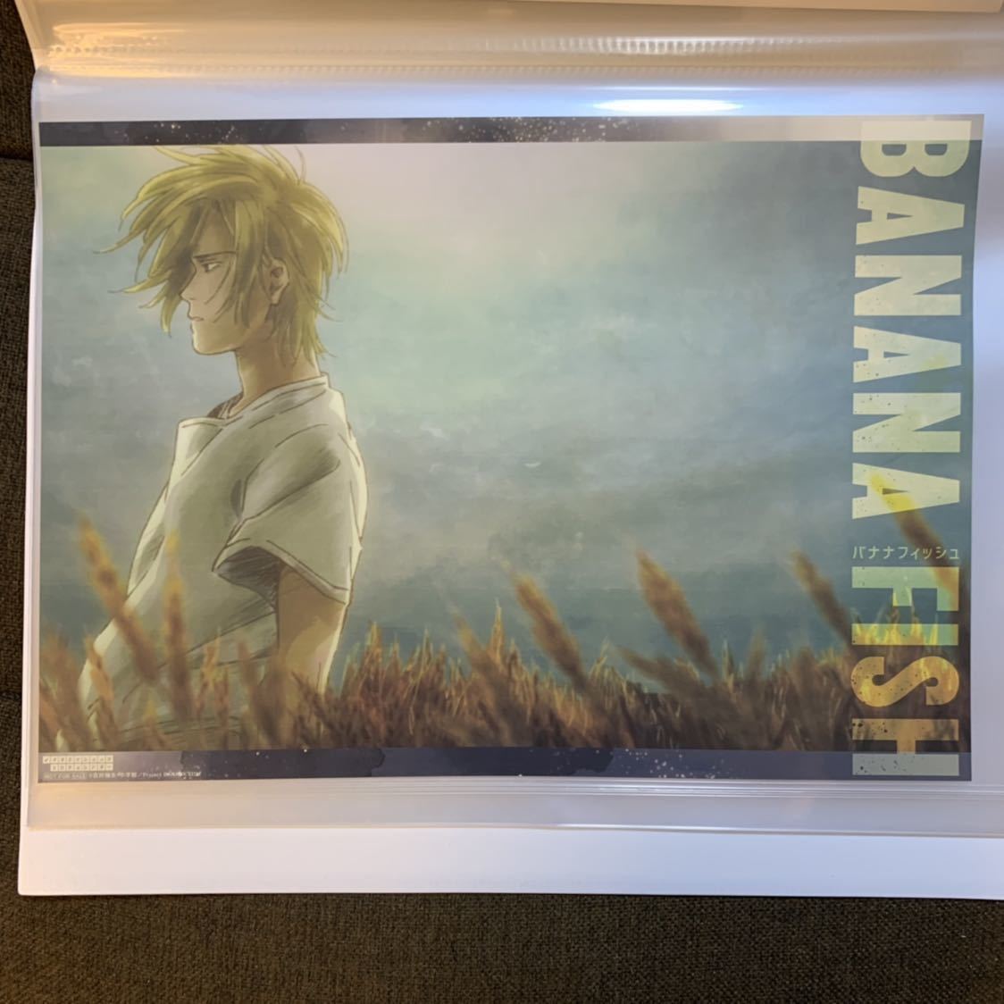 Paypayフリマ Banana Fish ノイタミナ ランチョンマット アッシュ Ed バナナフィッシュ Paypayフリマ Banana Fish ノイタミナ ランチョンマット アッシュ Ed バナナフィッシュ