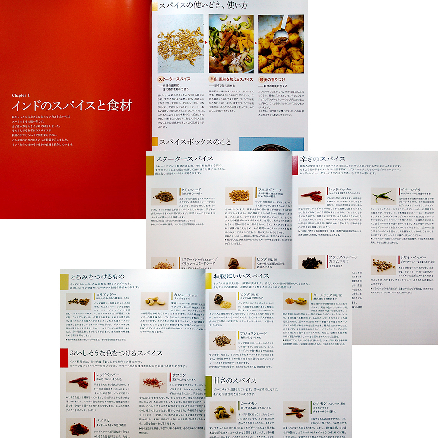 Bibian 比比昂 - レヌ・アロラのおいしいインド料理[決定版 Bibian 比比昂 - レヌ・アロラのおいしいインド料理[決定版