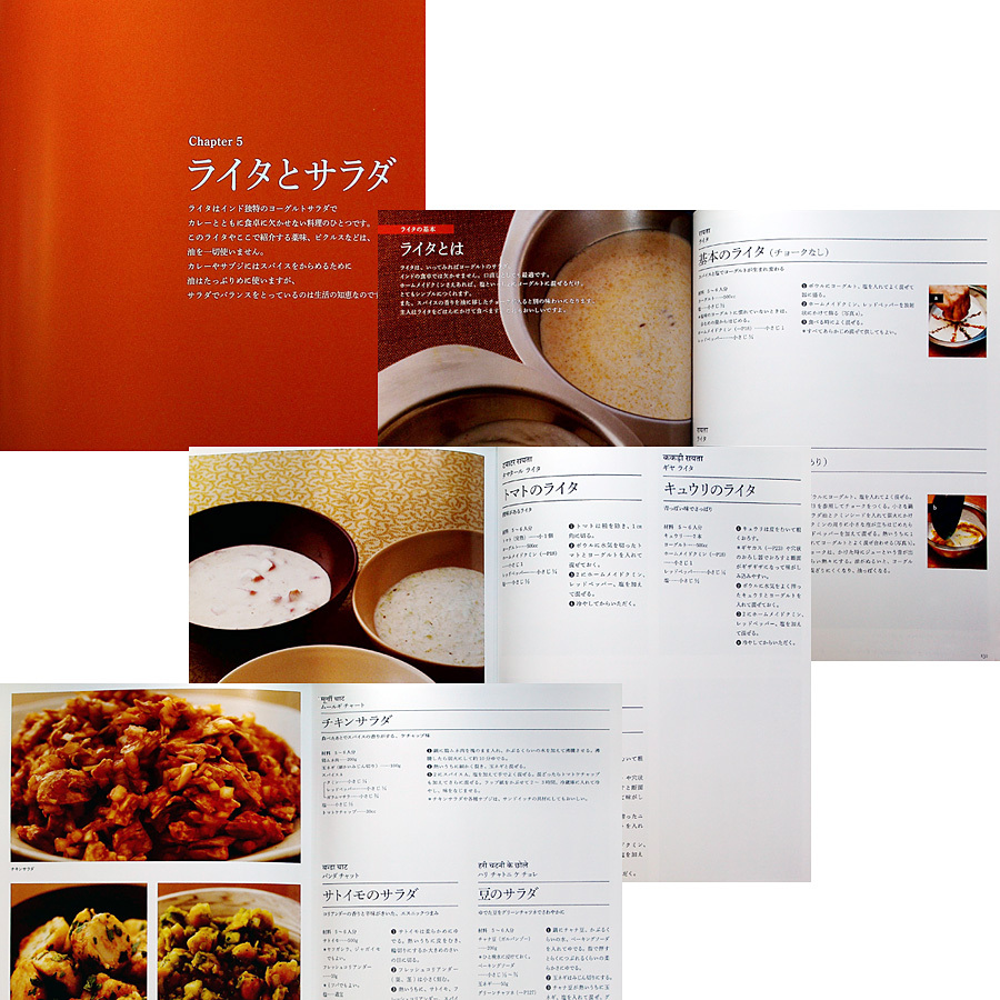 Bibian 比比昂 - レヌ・アロラのおいしいインド料理[決定版 Bibian 比比昂 - レヌ・アロラのおいしいインド料理[決定版