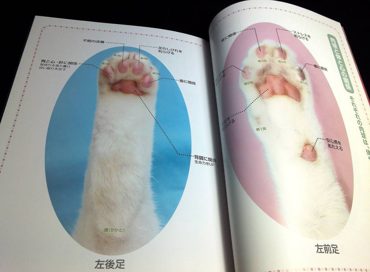 <book@>[. that pad diagnosis BOOK]~ Oriental medicine . body style check .tsubo massage / cat. .....