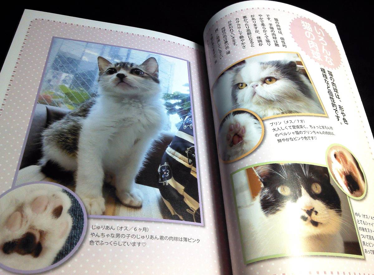 <book@>[. that pad diagnosis BOOK]~ Oriental medicine . body style check .tsubo massage / cat. .....