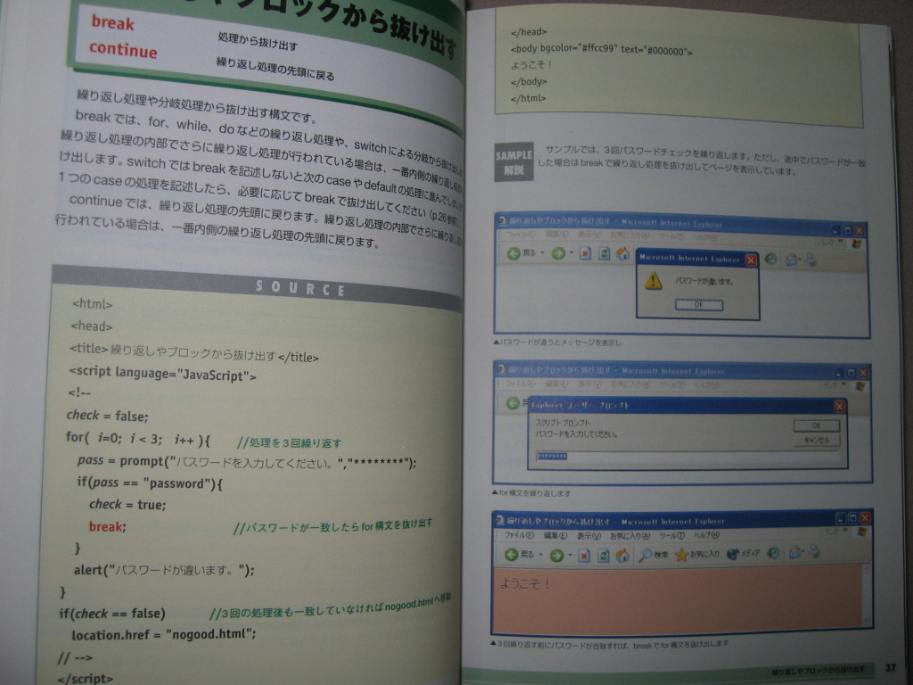 *Java Script dictionary no. 2 version Java Script reference document, window * sho . company regular price :Y1,800