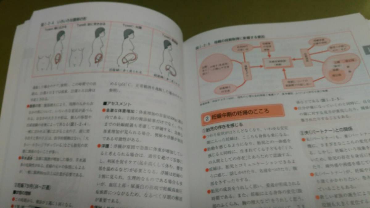 パーフェクト臨床実習ガイド「母性看護実習ガイド」堀内成子編集。照林社発行。新品同様。_画像4