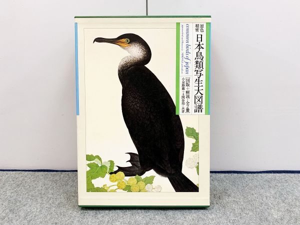 ☆送料無料】 洋書 The BIOLOGY of SEA TURTLES / 海亀の生物学 / Peter L. Lutz、John A. Musick / CRC Press - 生物学 ☆送料無料】 洋書 The BIOLOGY of SEA TURTLES / 海亀の生物学 / Peter L. Lutz、John A. Musick / CRC Press - 生物学