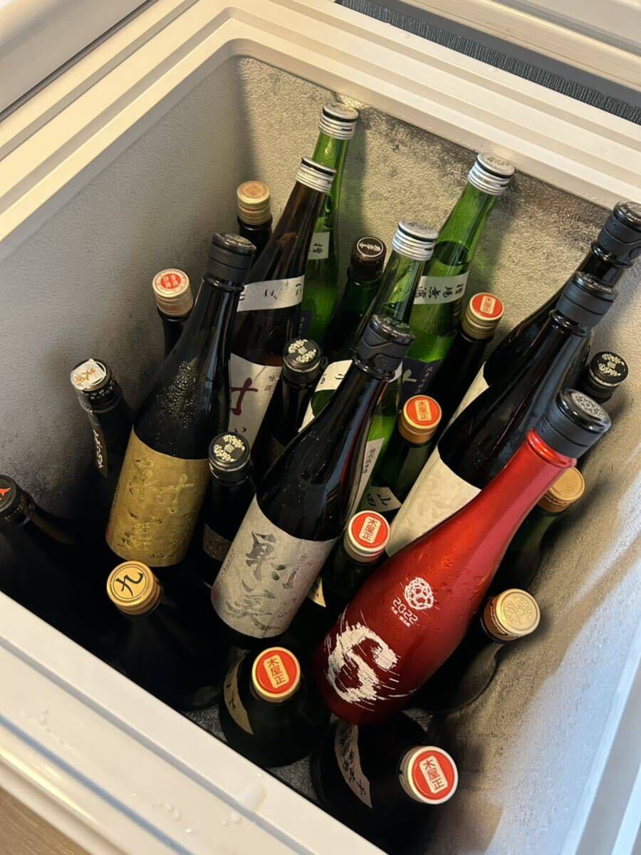 10540円 氷温熟成 十四代 酒未来 日本酒 - 酒、ドリンク 10540円 氷温熟成 十四代 酒未来 日本酒 - 酒、ドリンク