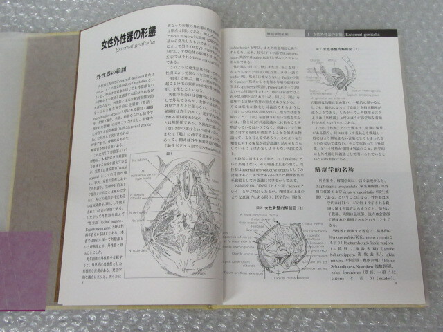 日本女性の外性器 笠井寛司 統計学的 形態論 性科学 医学 日本女性の外性器 笠井寛司 統計学的 形態論 性科学 医学