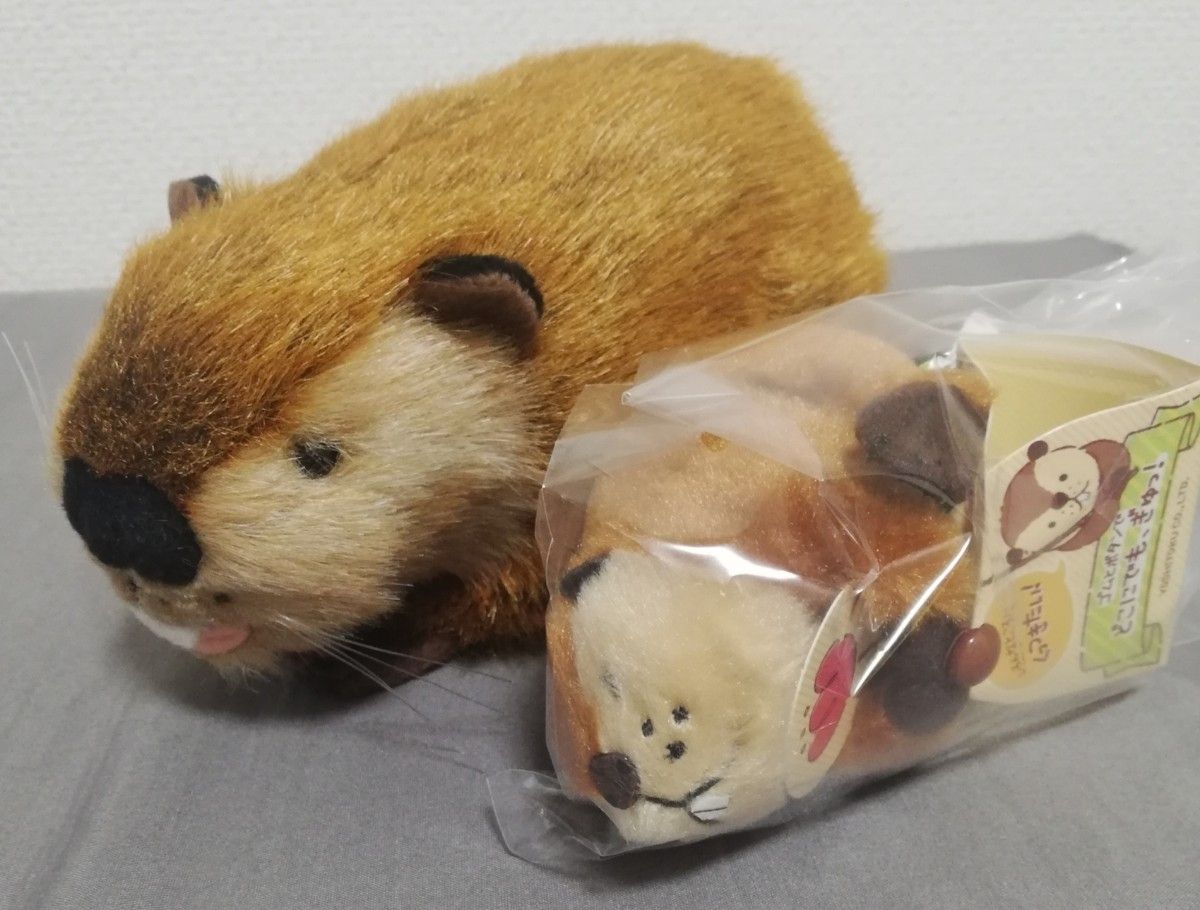 SUPER BEAVER公式グッズ スーパービーバーちゃん ぬいぐるみ SUPER BEAVER公式グッズ スーパービーバーちゃん ぬいぐるみ