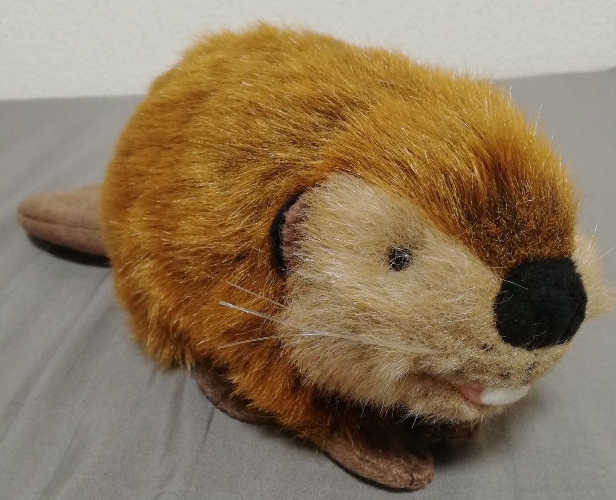SUPER BEAVER スーパービーバーちゃん ぬいぐるみ 公式グッズ SUPER BEAVER スーパービーバーちゃん ぬいぐるみ 公式グッズ