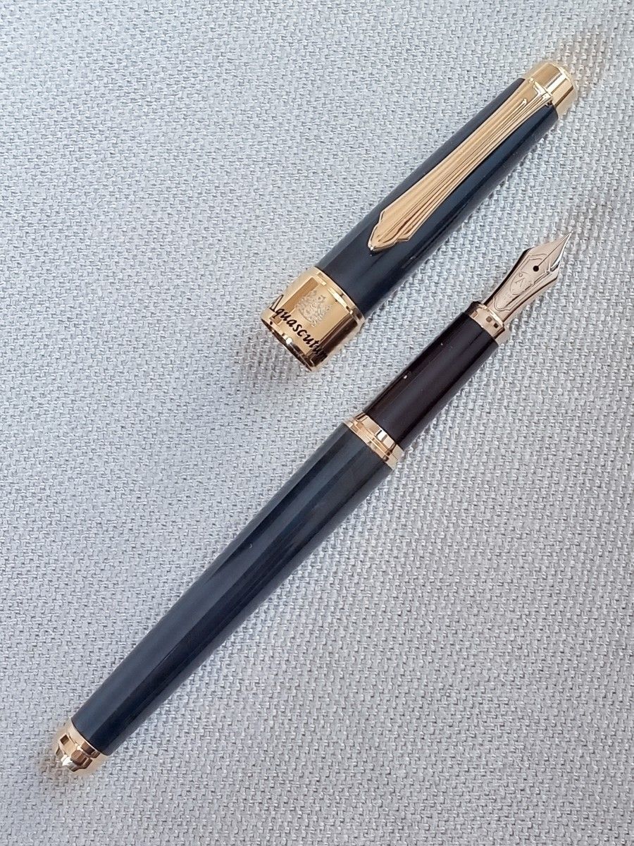 ☆本物☆神レア品☆ Aquascutum/アクアスキュータム プレステージ 万年筆 ペン先14金 細字 紺マーブル軸