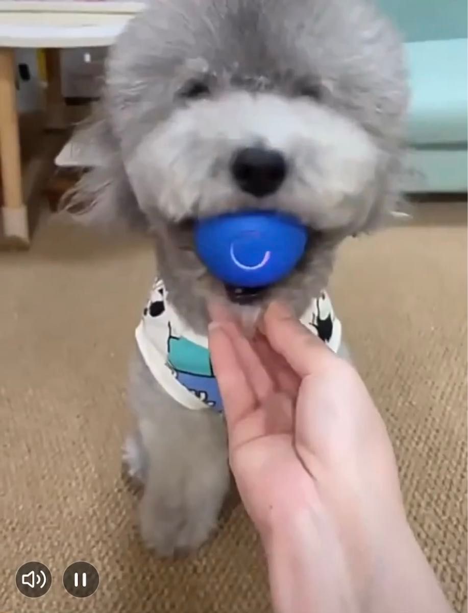 犬ボール 犬おもちゃ 小型犬 犬玩具 自動動き＋揺れ＋バウンド機能 天然ゴム製 運動不足対策 ストレス解消 ブルー