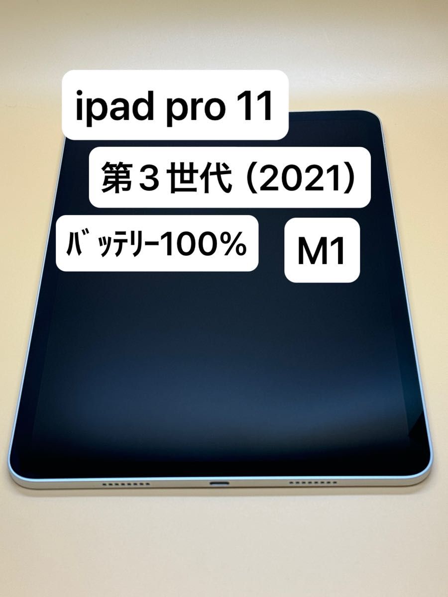 バッテリー100% iPad Pro 11インチ 第3世代 M1 Wi-Fiモデル 2021年 バッテリー100% iPad Pro 11インチ 第3世代 M1 Wi-Fiモデル 2021年