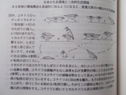 極東の鳥類 No1~23 23冊 サハリンの鳥類、南ウスリーの鳥類他 極東の鳥類 No1~23 23冊 サハリンの鳥類、南ウスリーの鳥類他