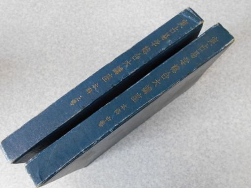 万葉歌に映る古代和歌史 大伴家持・表現と編纂の交点 中古本 万葉歌に映る古代和歌史 大伴家持・表現と編纂の交点 中古本