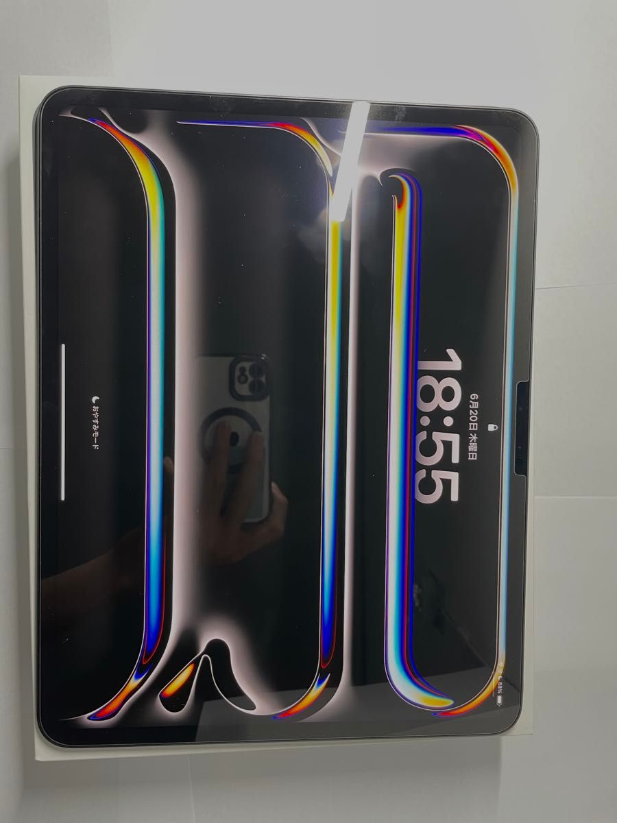 Apple iPad Pro M4 13インチ Wi-Fiモデル 512GB スペース Apple iPad Pro M4 13インチ Wi-Fiモデル 512GB スペース