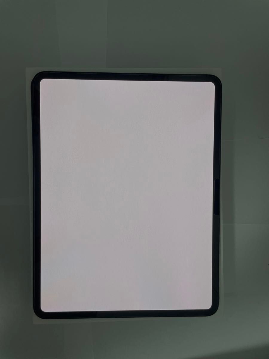 Apple iPad Pro M4 13インチ Wi-Fiモデル 512GB スペース Apple iPad Pro M4 13インチ Wi-Fiモデル 512GB スペース