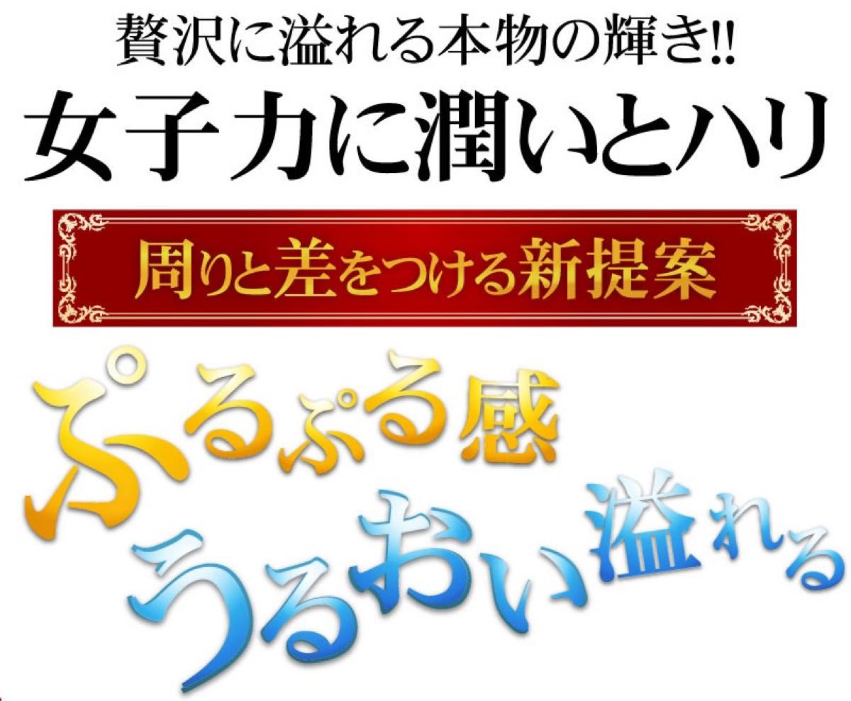 お値引き中！TVや雑誌で話題の超高級成分 プロテオグリカン 6か月分/360粒 