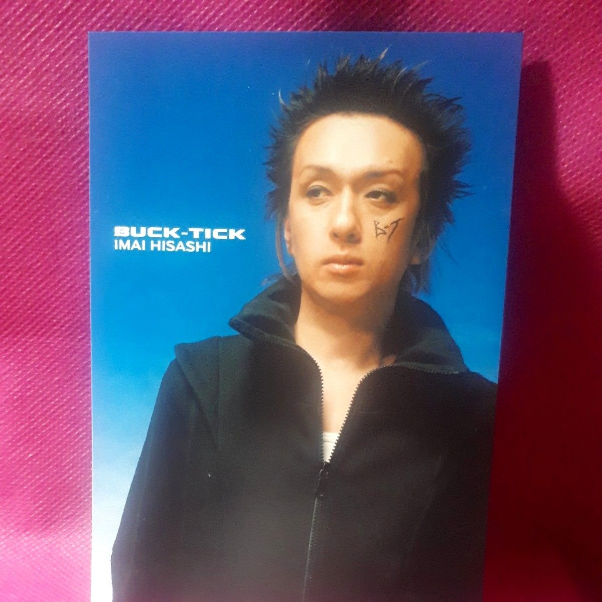 サイン 10枚組 ポストカード 今井寿 櫻井敦司 BUCK-TICK FISH サイン 10枚組 ポストカード 今井寿 櫻井敦司 BUCK-TICK FISH