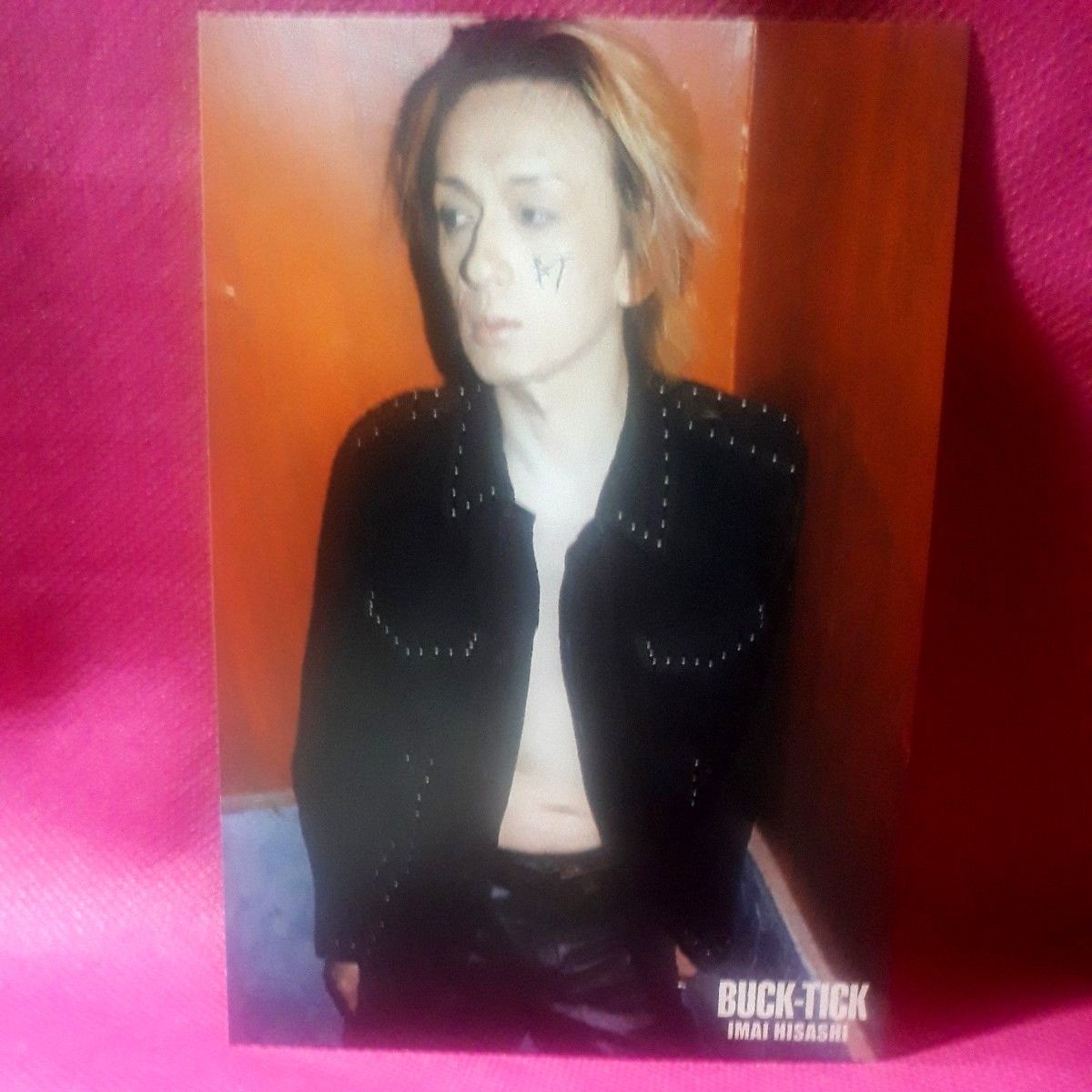 サイン 10枚組 ポストカード 今井寿 櫻井敦司 BUCK-TICK FISH サイン 10枚組 ポストカード 今井寿 櫻井敦司 BUCK-TICK FISH