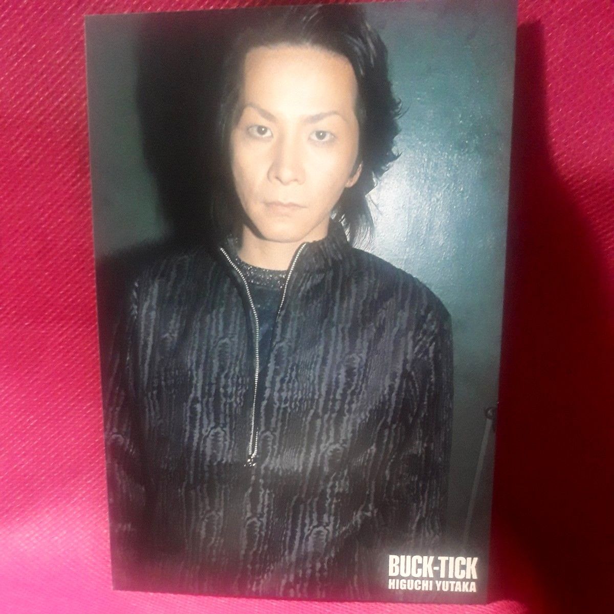 サイン 10枚組 ポストカード 樋口豊 櫻井敦司 BUCK-TICK FISH サイン 10枚組 ポストカード 樋口豊 櫻井敦司 BUCK-TICK FISH