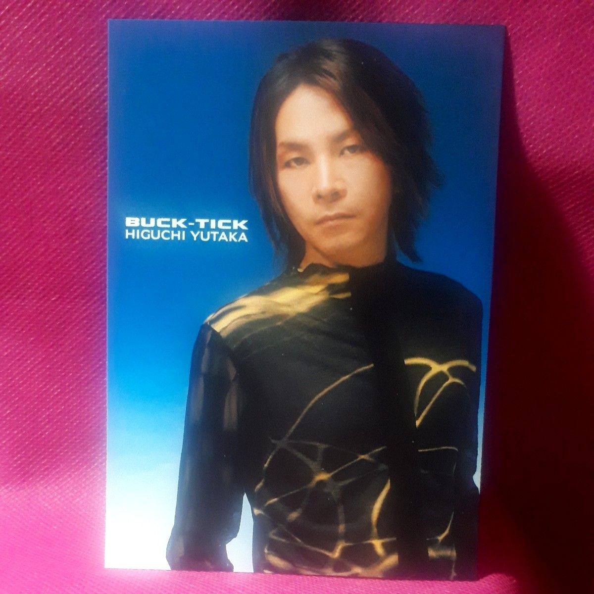サイン 10枚組 ポストカード 樋口豊 櫻井敦司 BUCK-TICK FISH サイン 10枚組 ポストカード 樋口豊 櫻井敦司 BUCK-TICK FISH