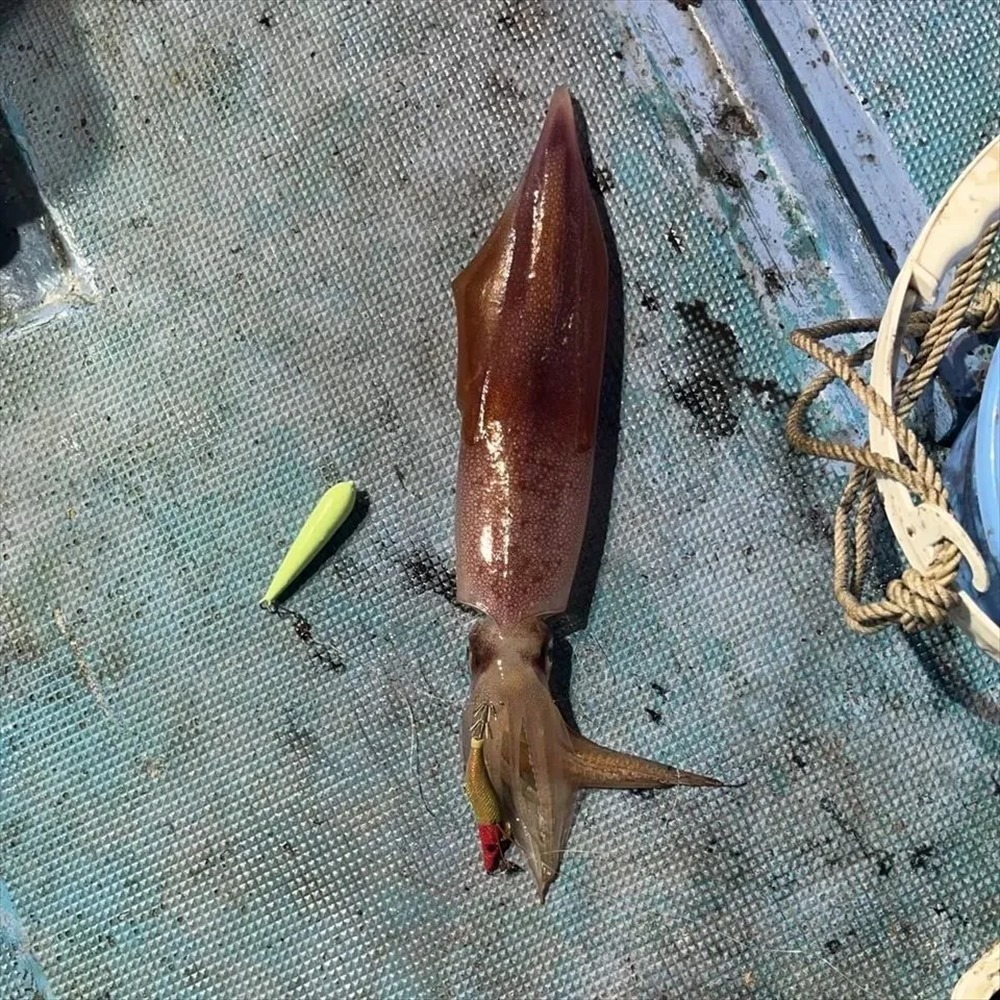 item_image_4