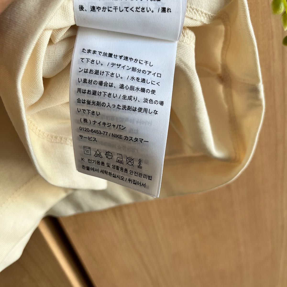 NIKE ACG 旧ロゴ ワンポイントロゴ バックプリント Tシャツ NIKE ACG 旧ロゴ ワンポイントロゴ バックプリント Tシャツ
